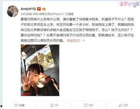 小冬徒弟爆料视频大全集,揭秘幕后真相与精彩瞬间